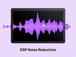 Support DSP for Superior Audio Experience