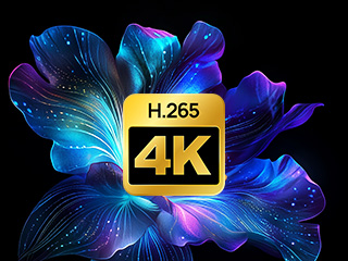 Video Decode and Encode