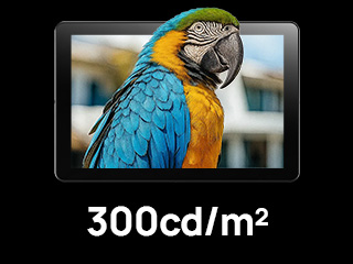 Supports a brightness of 300cd/m²