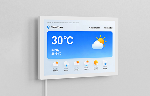 Utilizes a custom back shell or mounting mechanism that enablessecure, permanent, and flush wall installation.<br>
Key Applications:Ideal for fixed central control points such asdigital signage, conference room booking systems,or dedicated Building Management System (BMS) panels.