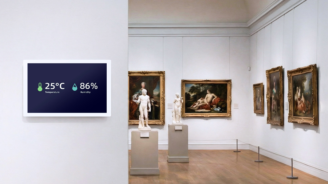 Art & Valuable Collectibles Storage Monitoring