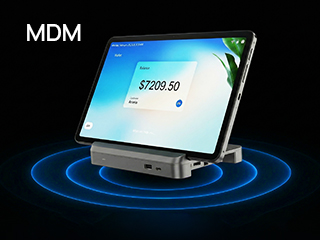 Firmware Lockdown (Kiosk Mode)