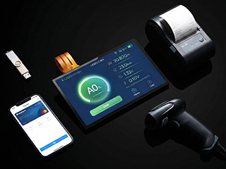 Dual-Path Connectivity Design